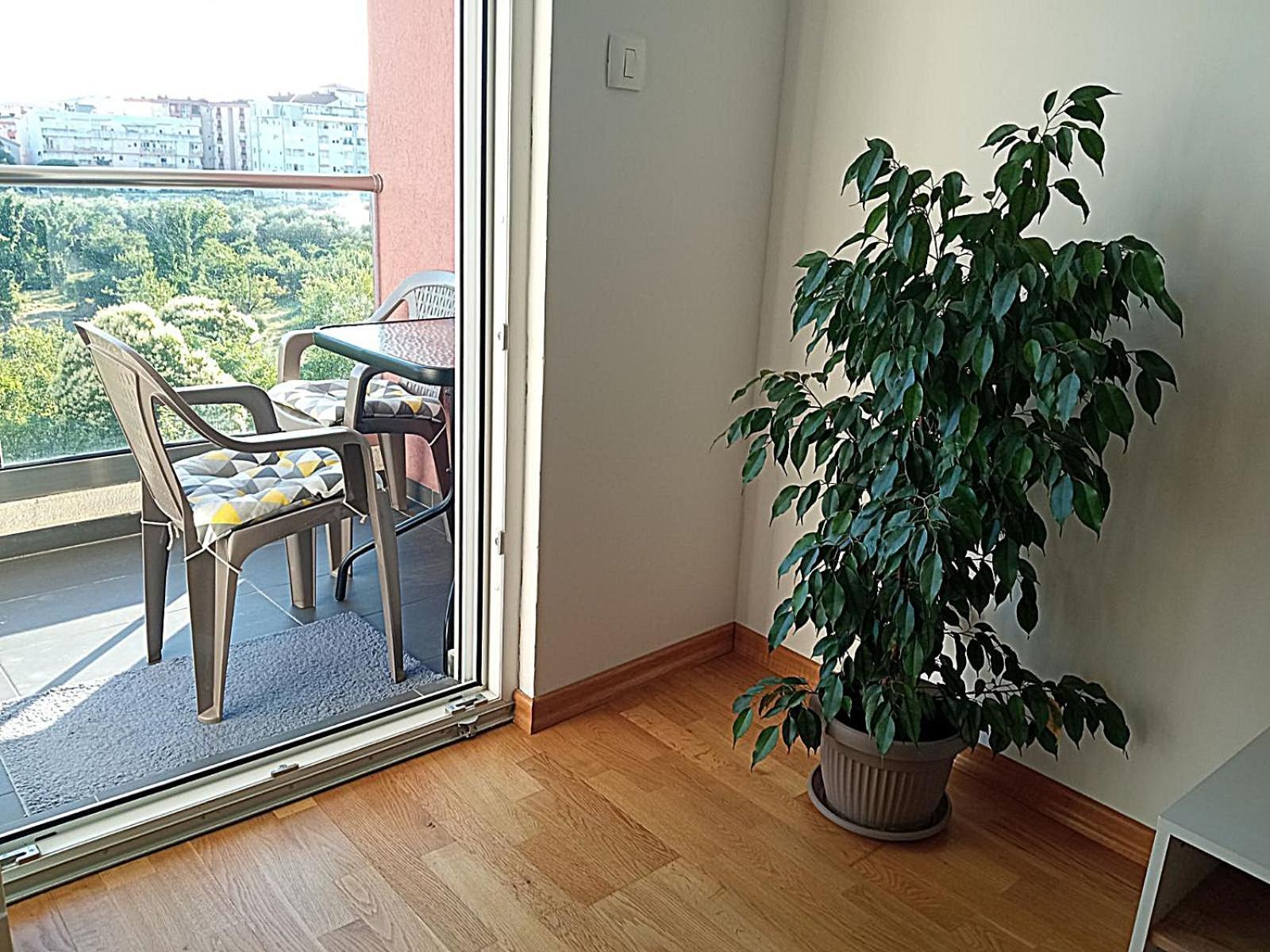 Renta Apartman Podgorica Exterior foto